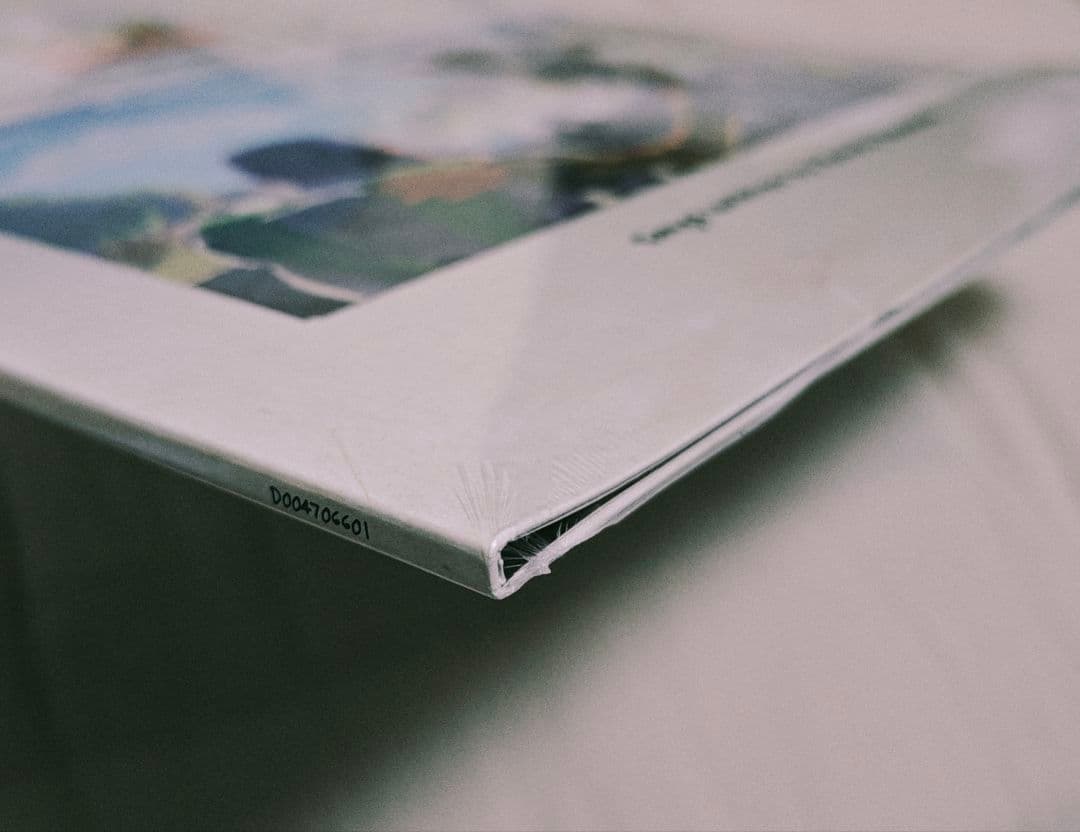 入手困難　30周年記念　トイ・ストーリー　ゾートロープ・レコード