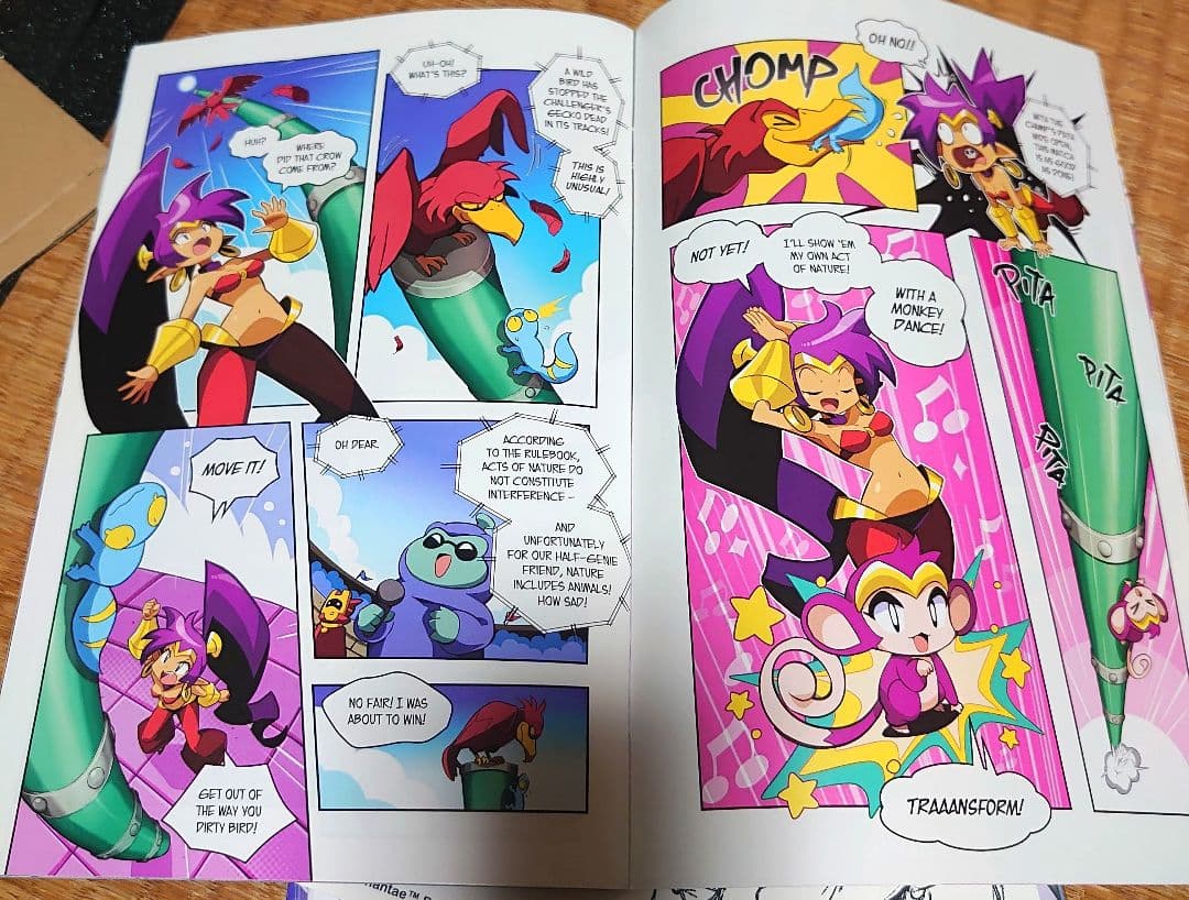 シャンティ(shantae)ゲーム・グッズセット