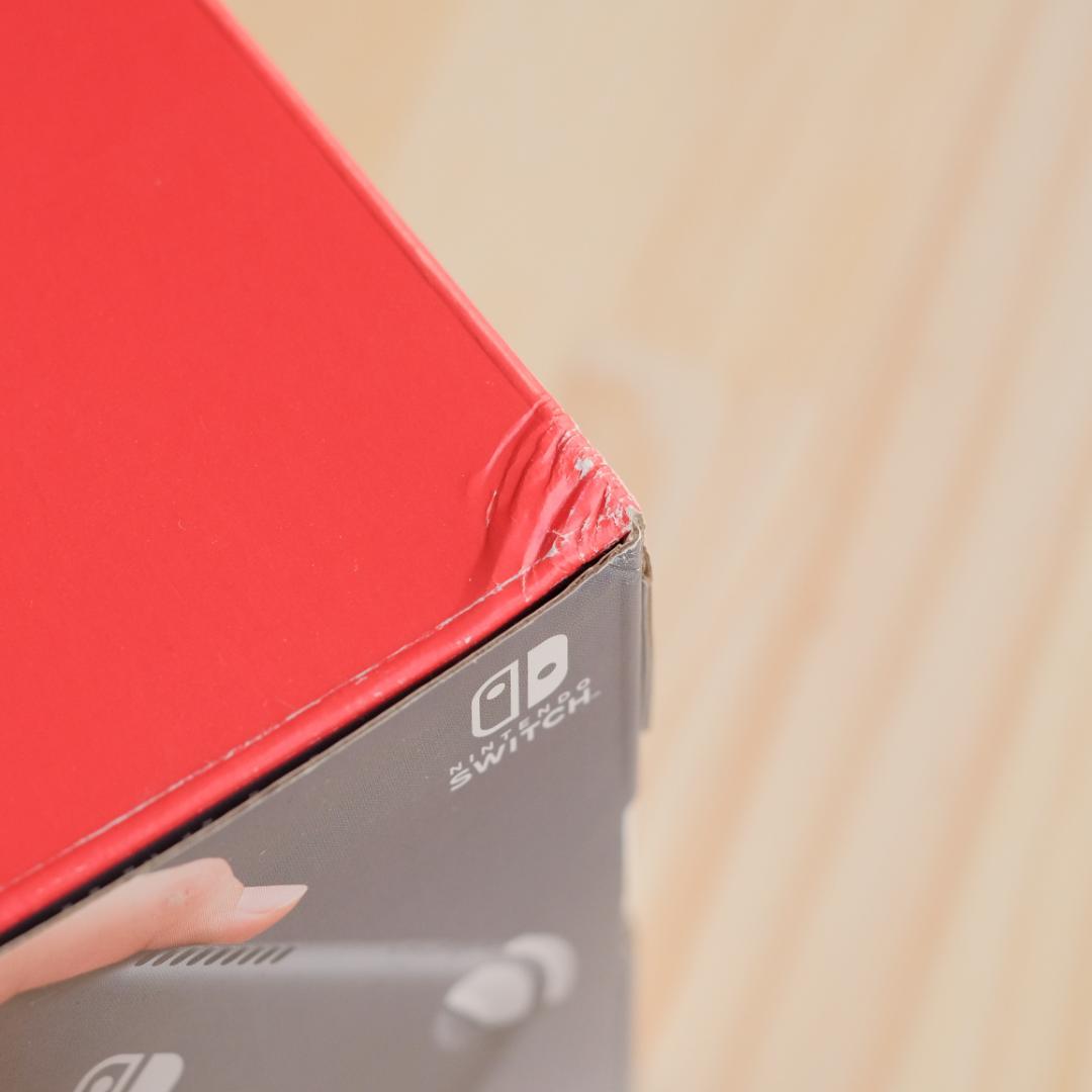 Nintendo Switch Lite グレー 本体 美品 動作確認済み