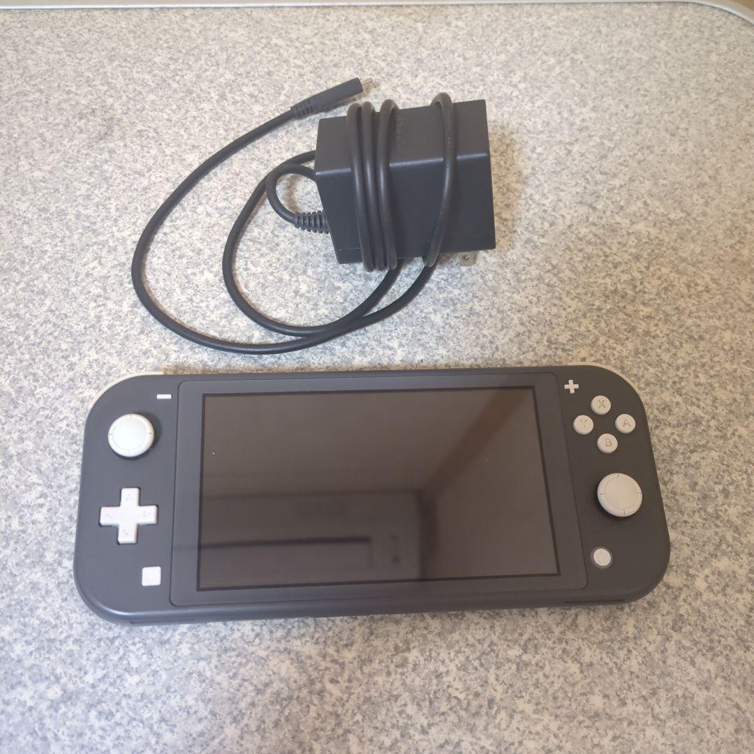 Switch ライト グレー