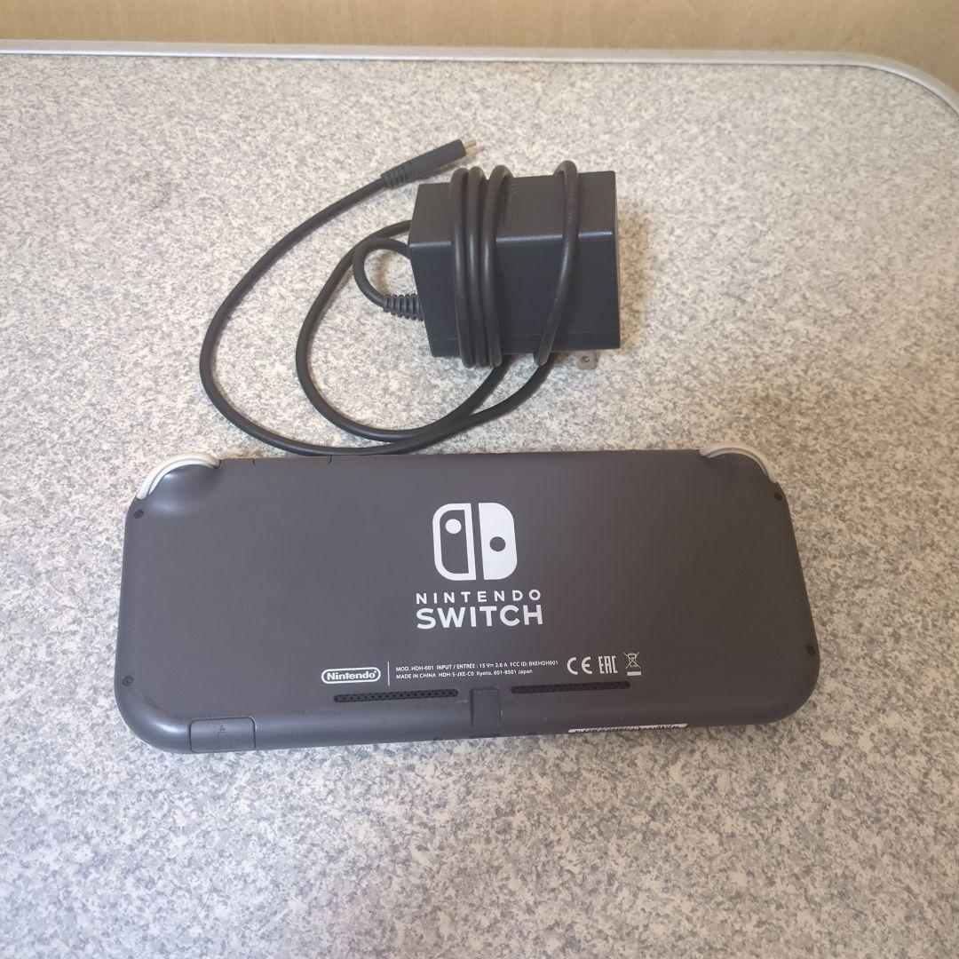 Switch ライト グレー