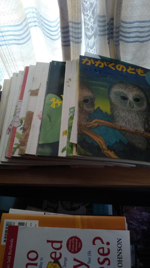 期間限定お値下げ！早い者勝ち！　かがくのとも２１冊セット