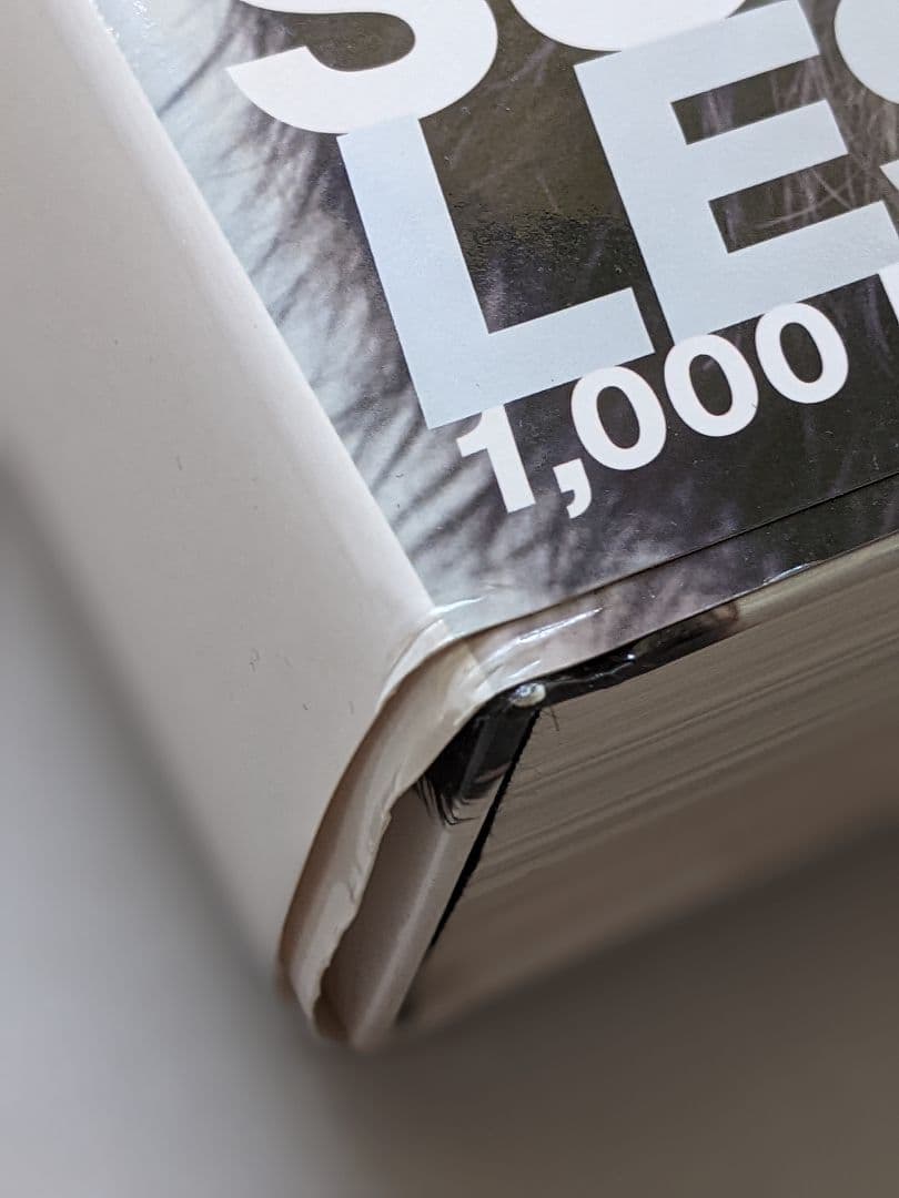 レスリーキー Super Tokyo 5000部限定 サイン入