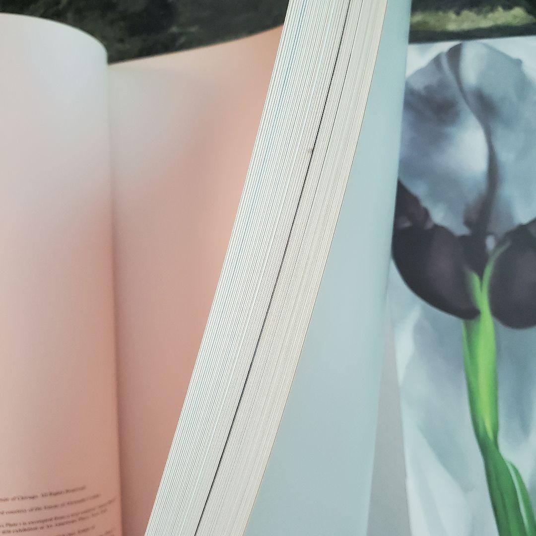 【大型本・美品】ジョージア・オキーフ 花の作品集