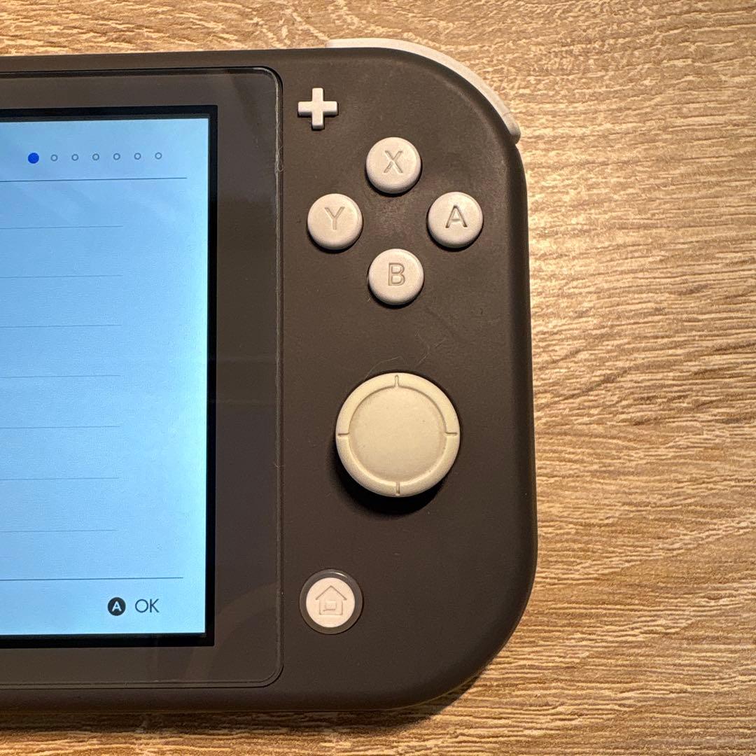 ニンテンドースイッチライト グレー ミッキーマウス ソフトケース付き