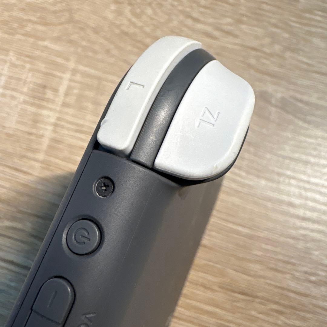 ニンテンドースイッチライト グレー ミッキーマウス ソフトケース付き