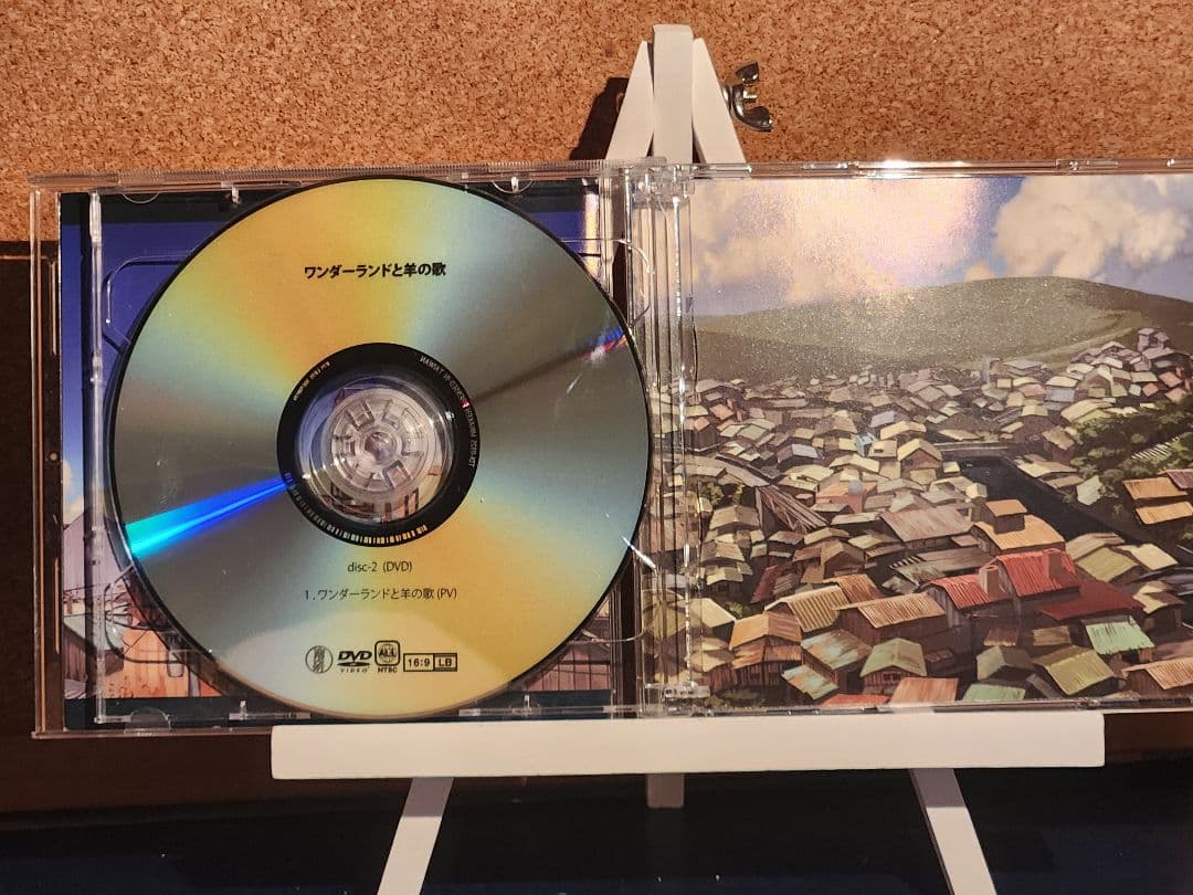 ワンダーランドと羊の歌　ハチ　南方研究所