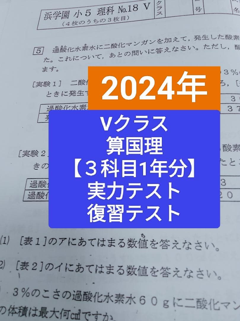 浜学園小5　Ｖクラス　算国理３科目１年分　復習テスト　実力テスト