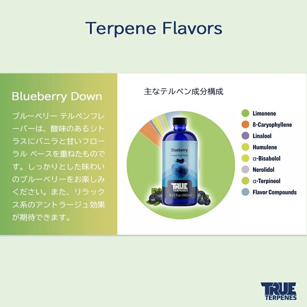 TRUE テルペン 510 CBD CBN CBG 10ml ブルーベリーダウン