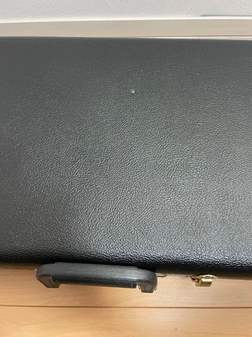 Schecter シェクター純正ハードケース（廃盤品）G&G製 ほぼ未使用