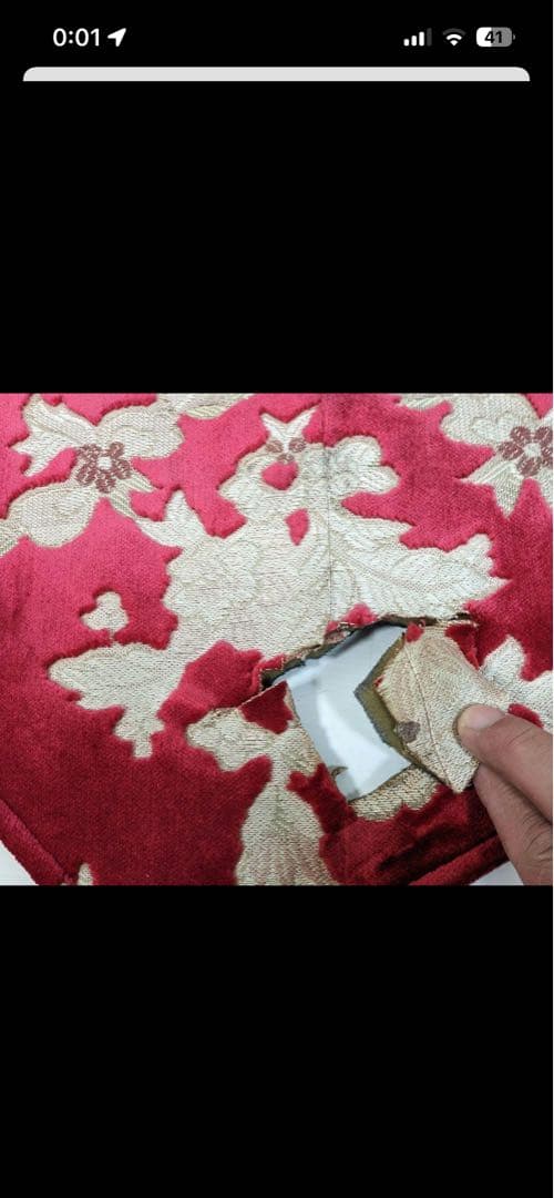 クオン　金華山　ネオプリンセス赤