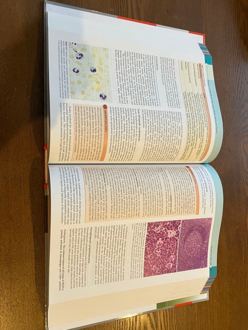 未使用Robbins and Cotran PATHOLOGIC 病理学
