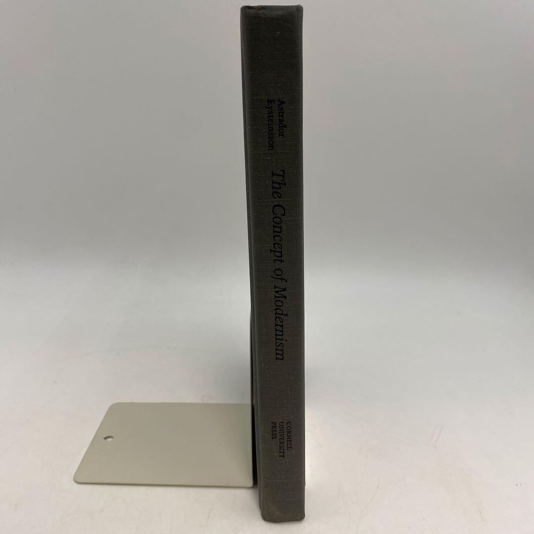 洋書 The Concept of Modernism