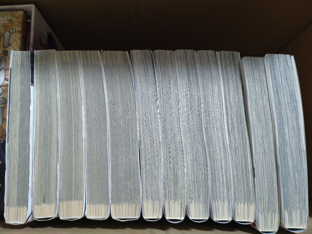 バジリスク～甲賀忍法帖～DVD-BOX　貴重品