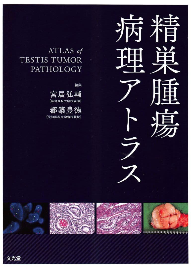 精巣腫瘍病理アトラス 裁断済み