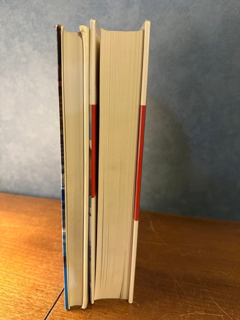 Helmut Newton 写真集　作品集　2冊セット