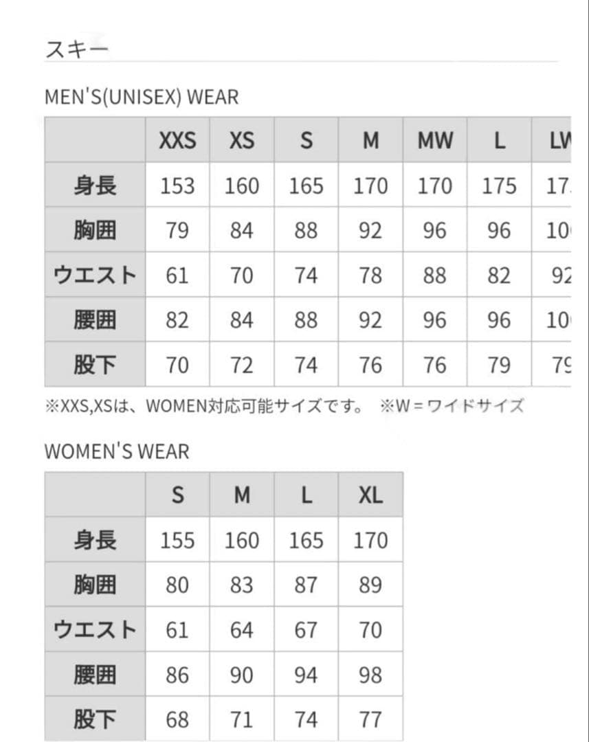 Phenix 新品未使用スキー スノーボード ウエア メンズL サイズ