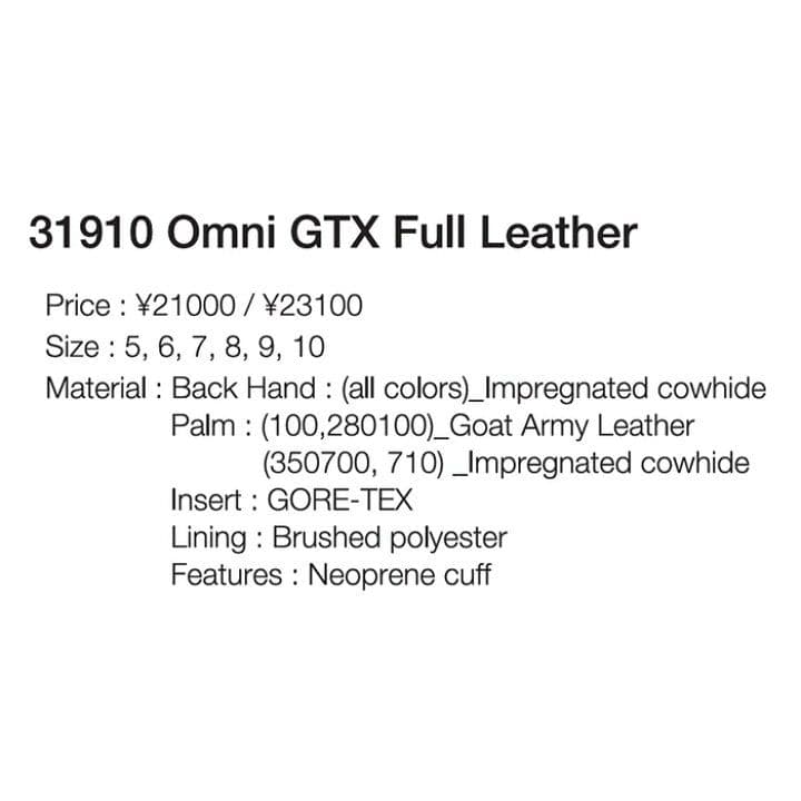 【試着のみ】ヘストラ(HESTRA) スキーグローブ サイズ:8