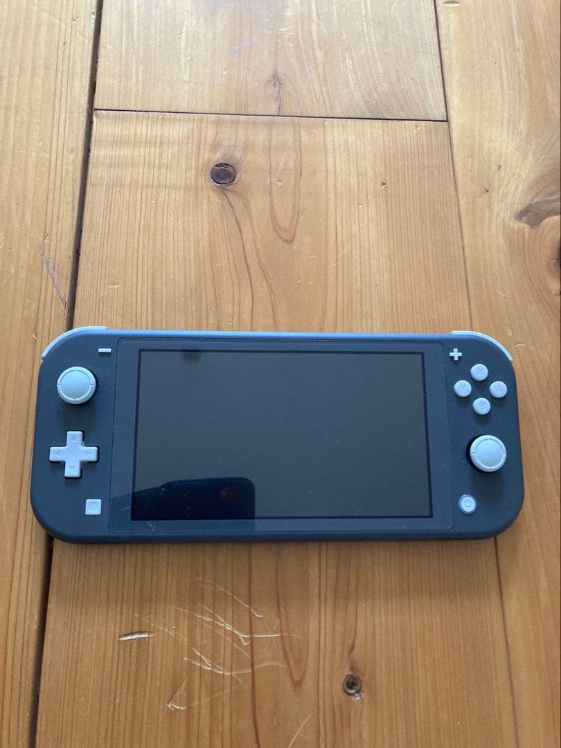 Switch ライト　ジャンク品　本体のみ