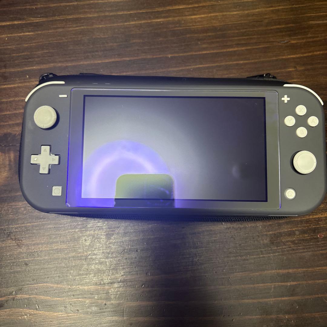 Nintendo Switch Lite グレー本体ケース充電器付き