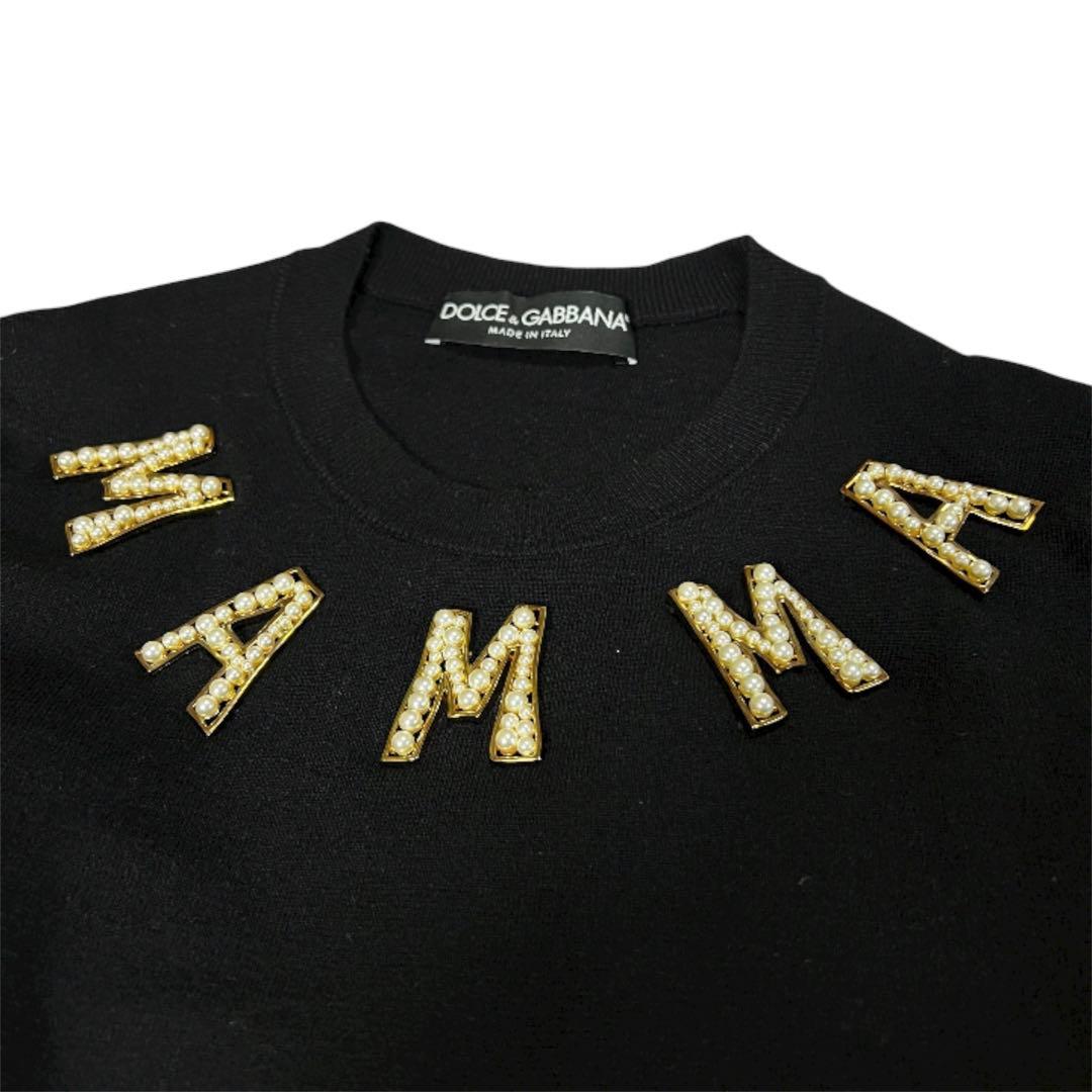 ゆゆゆ様　Christian Dior カットソー　ドルガバ パールニット