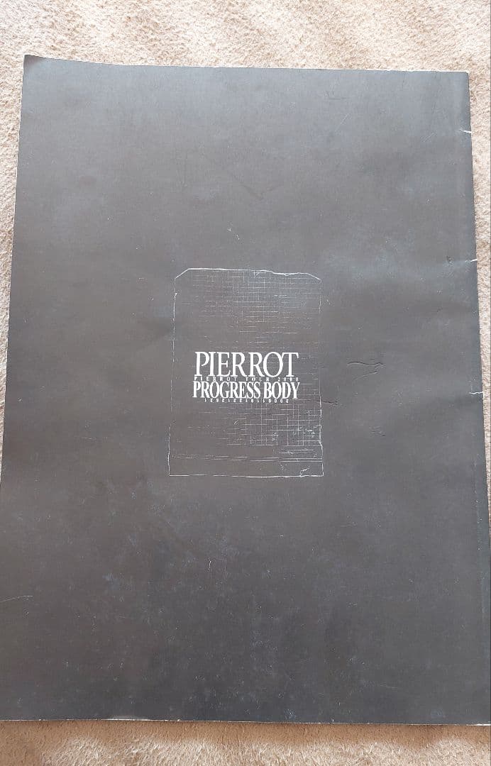 PIERROT ツアーパンフレットセット(12種類分)