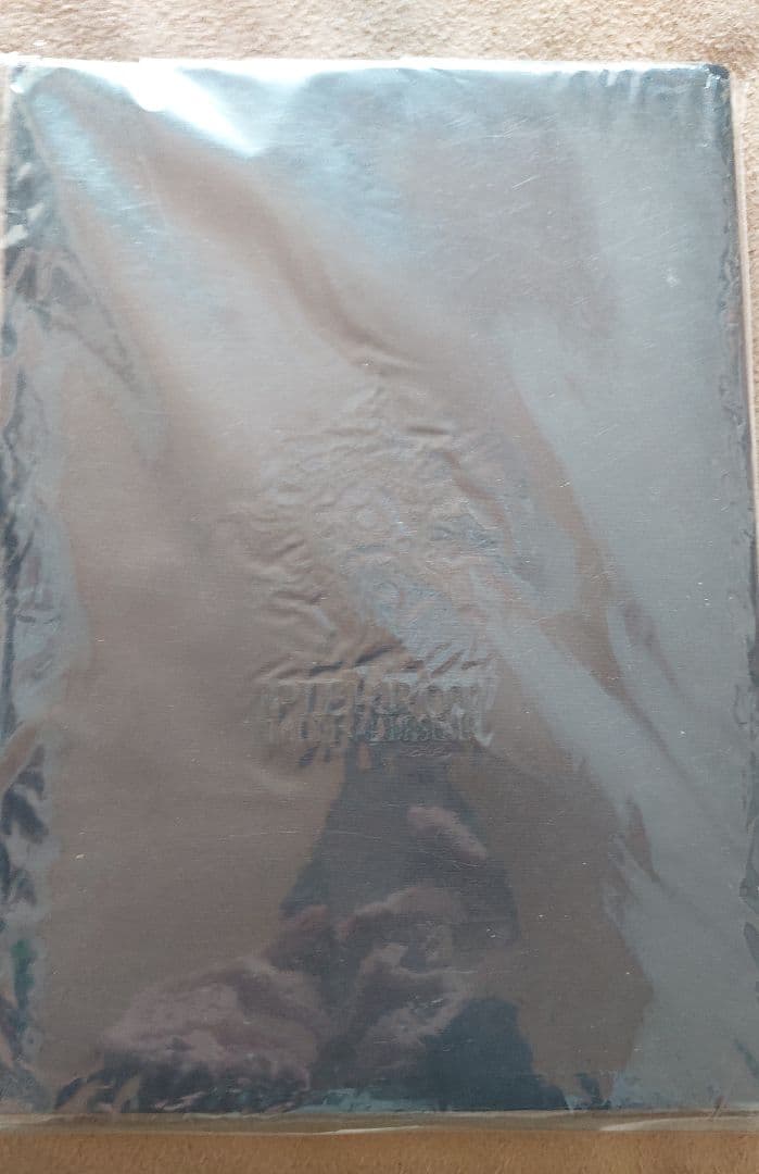 PIERROT ツアーパンフレットセット(12種類分)