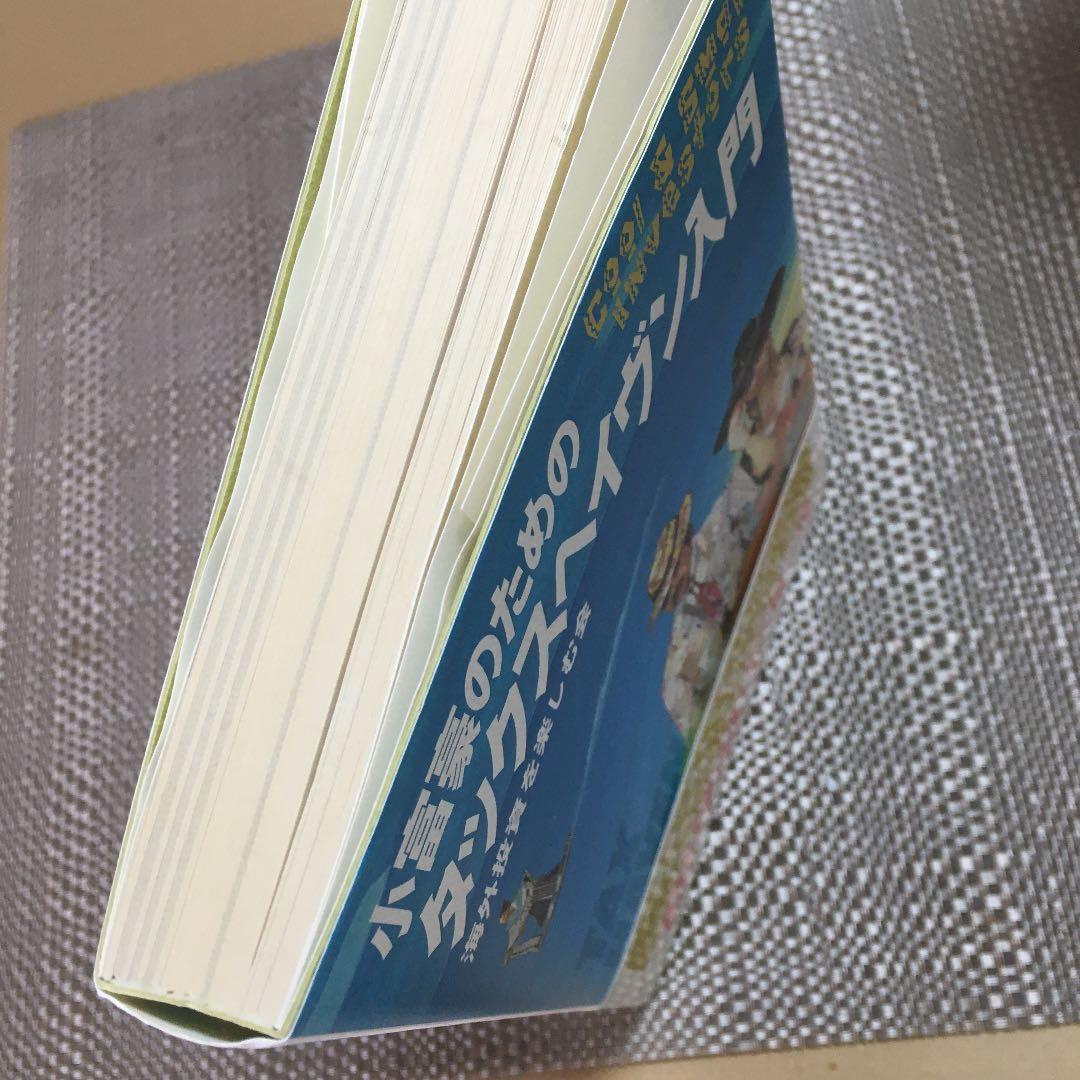 【やーまん様】小富豪のためのタックスヘイヴン入門