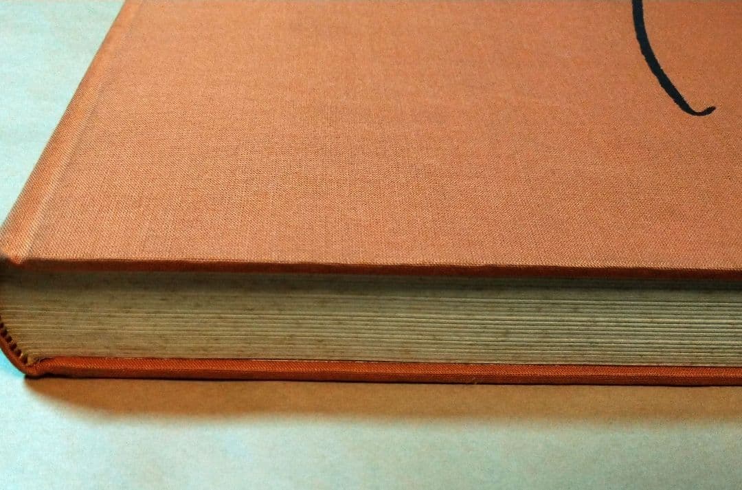 HENRI MATISSE 版画カタログ・レゾネ1