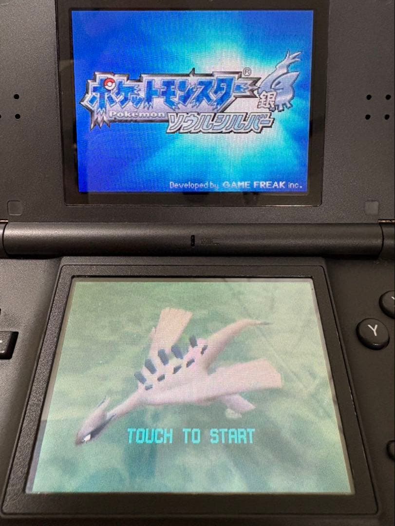 ポケットモンスター ハートゴールド & ソウルシルバー 2本セット