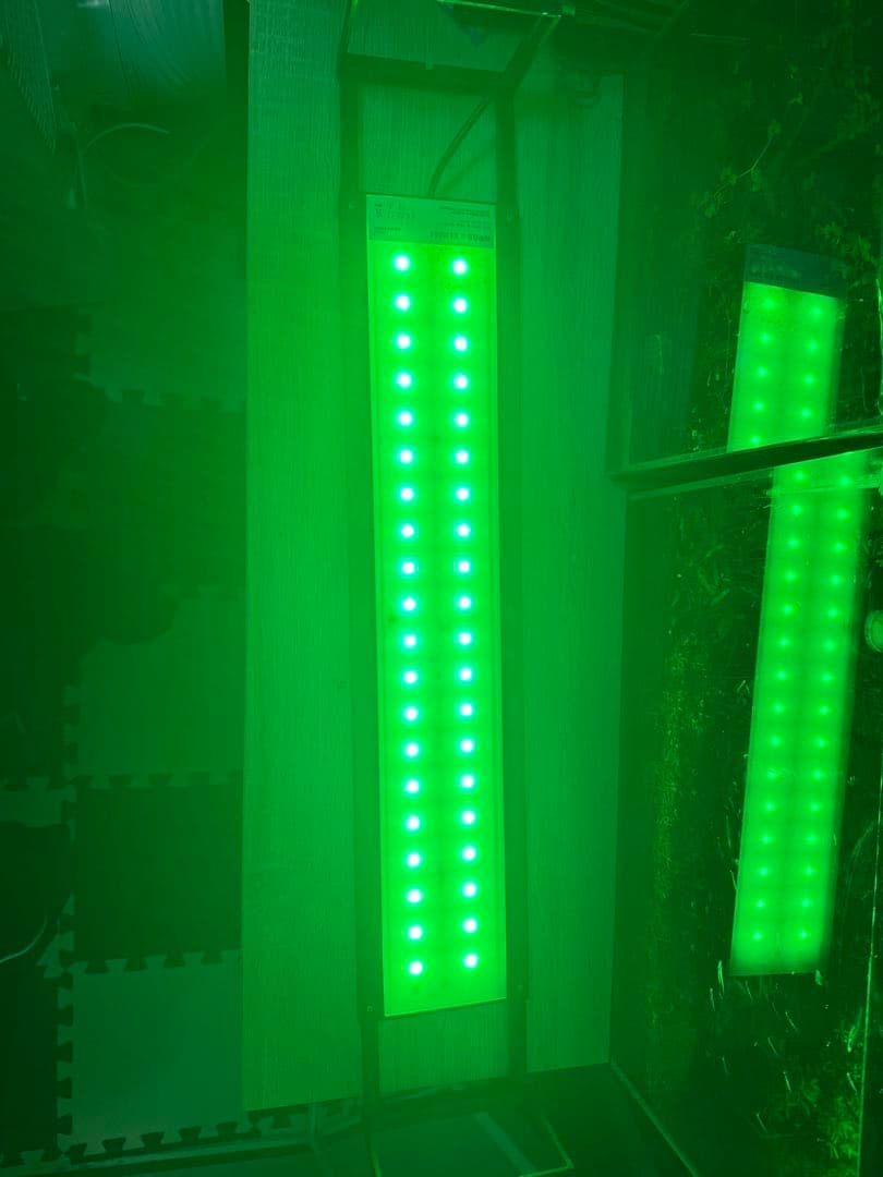 Chihiros wrgb Slim 60 とライトシェード（1枚)