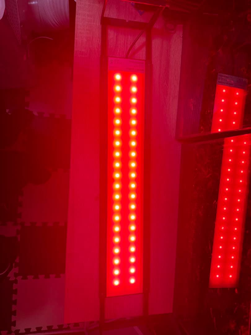 Chihiros wrgb Slim 60 とライトシェード（1枚)