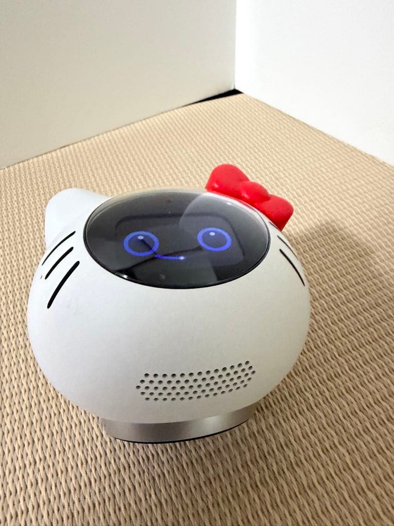 会話AIロボットRomi×ハローキティ