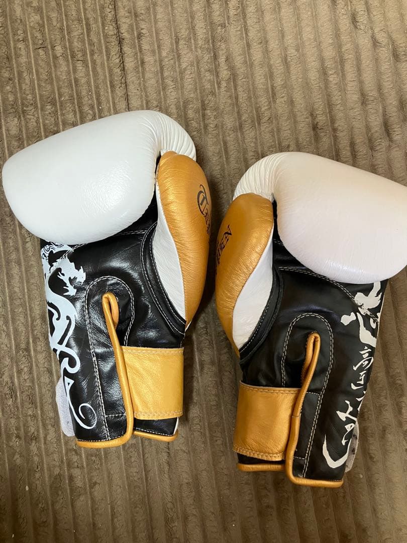 TEN SHIN ボクシンググローブ ISAMI