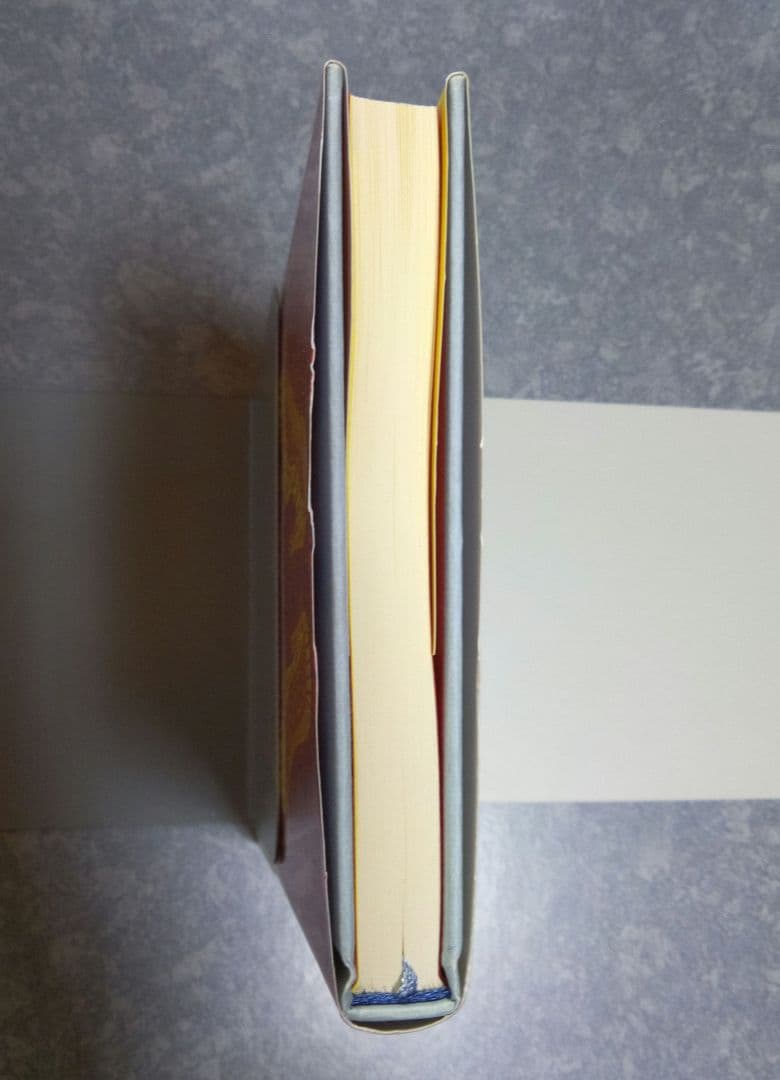 【初版美品】vanity