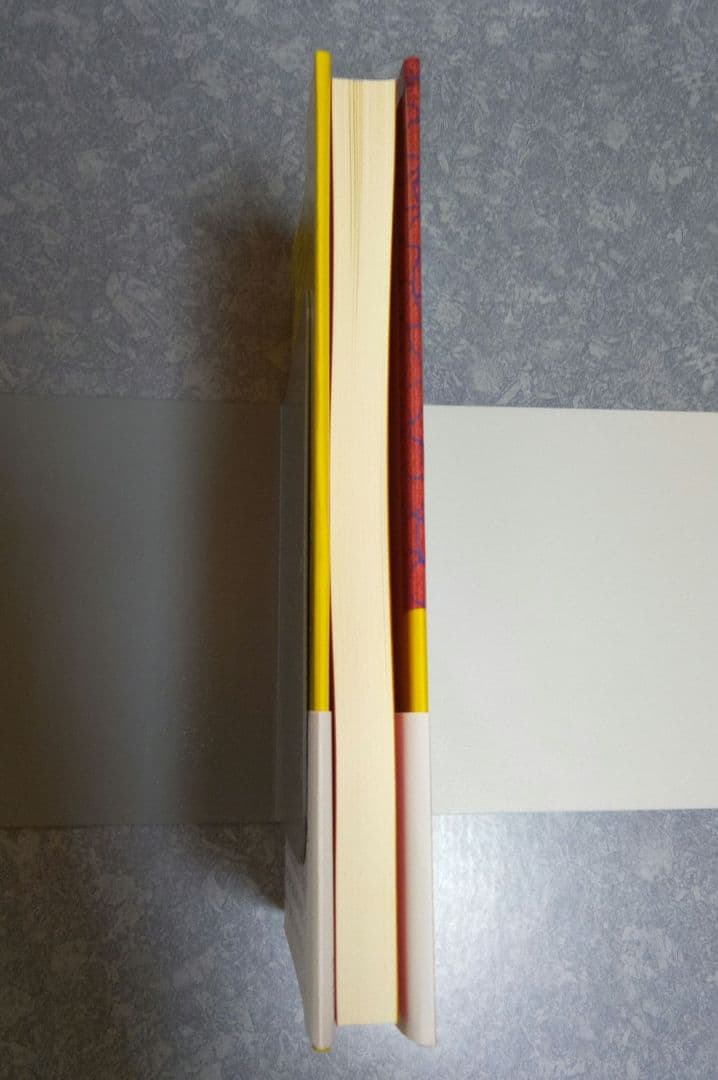 【初版美品】vanity