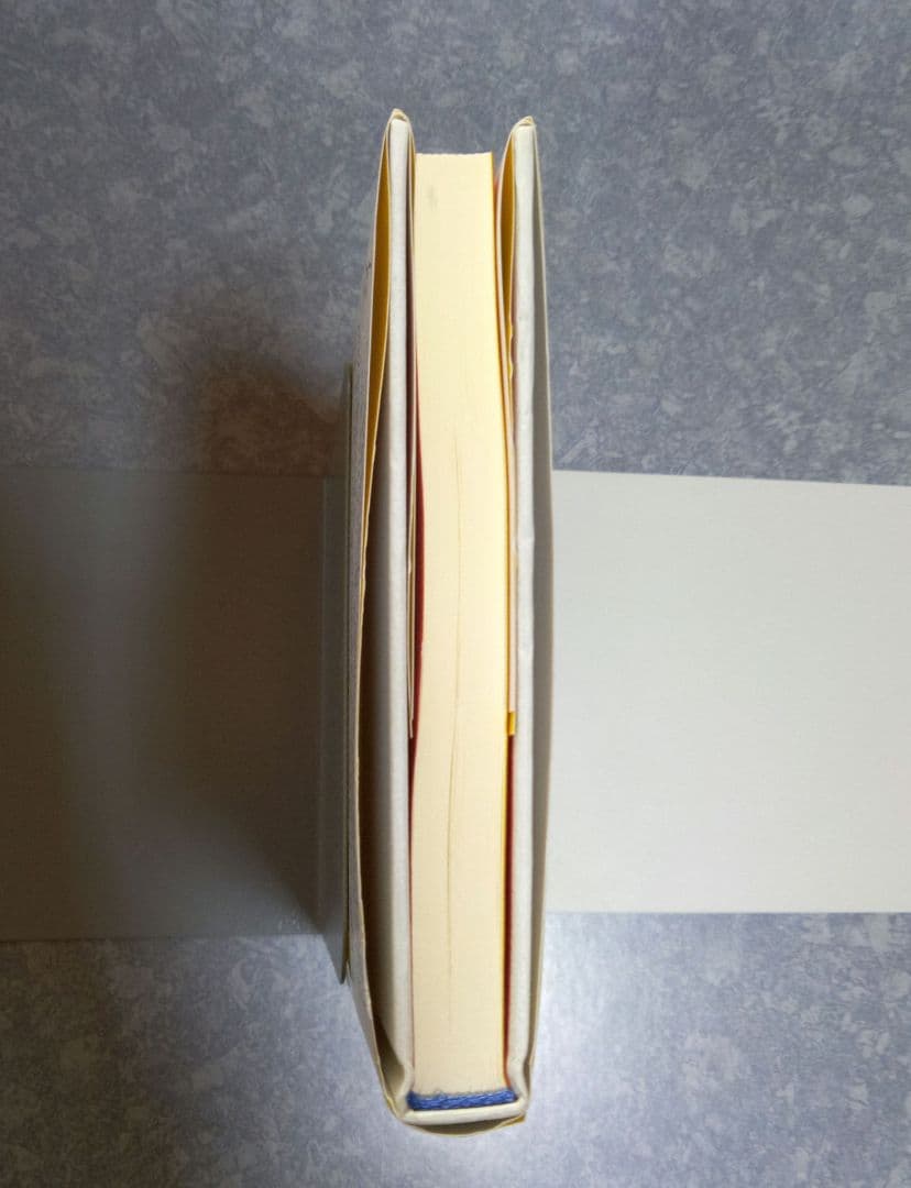 【初版美品】vanity