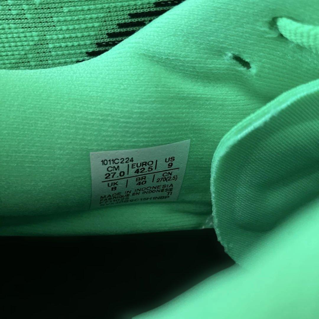 【27.0cm新品未使用】アシックス ノバブラスト5 VITAL GREEN