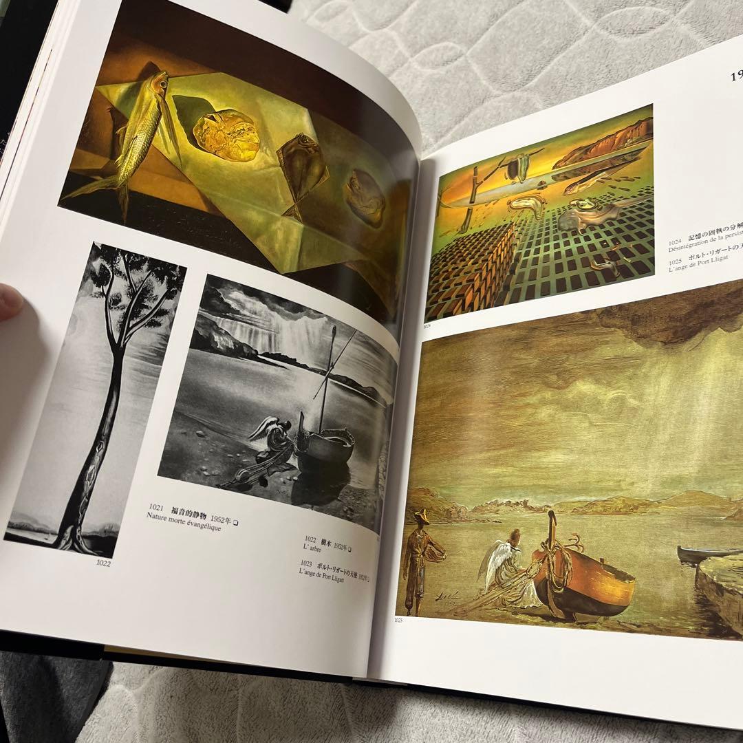 ダリ全画集 Salvador Dali The Paintings 25周年SP