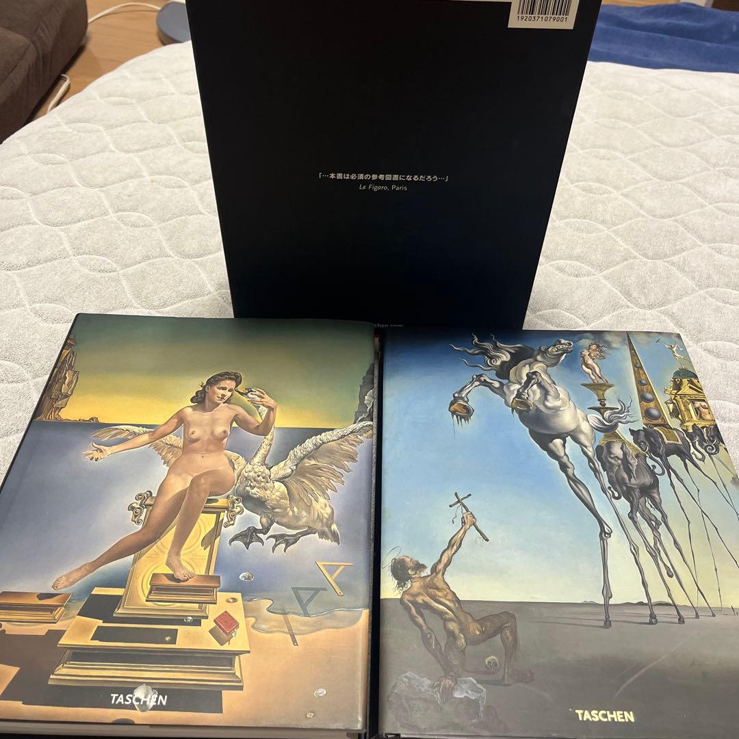 ダリ全画集 Salvador Dali The Paintings 25周年SP