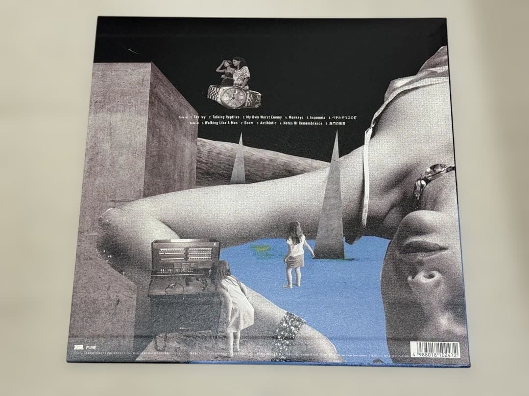 the HIATUS / ANOMALY LP アナログ レコード