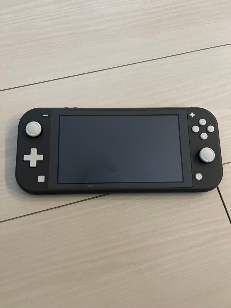 Nintendo Switch Lite（グレー）本体＋専用ケース付き