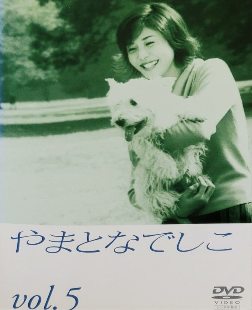 やまとなでしこ DVD レンタル落ち 全6巻 セット