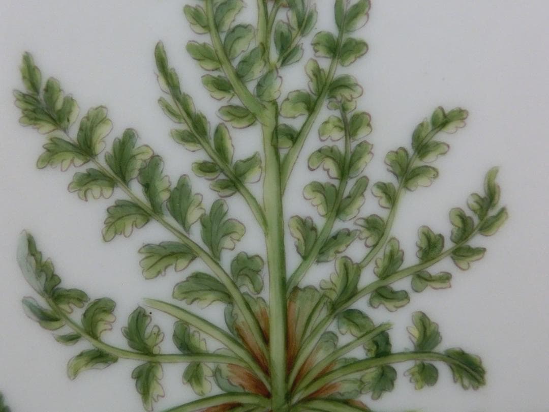 『ロイヤルコペンハーゲン』フローラダニカ22ｃｍプレート