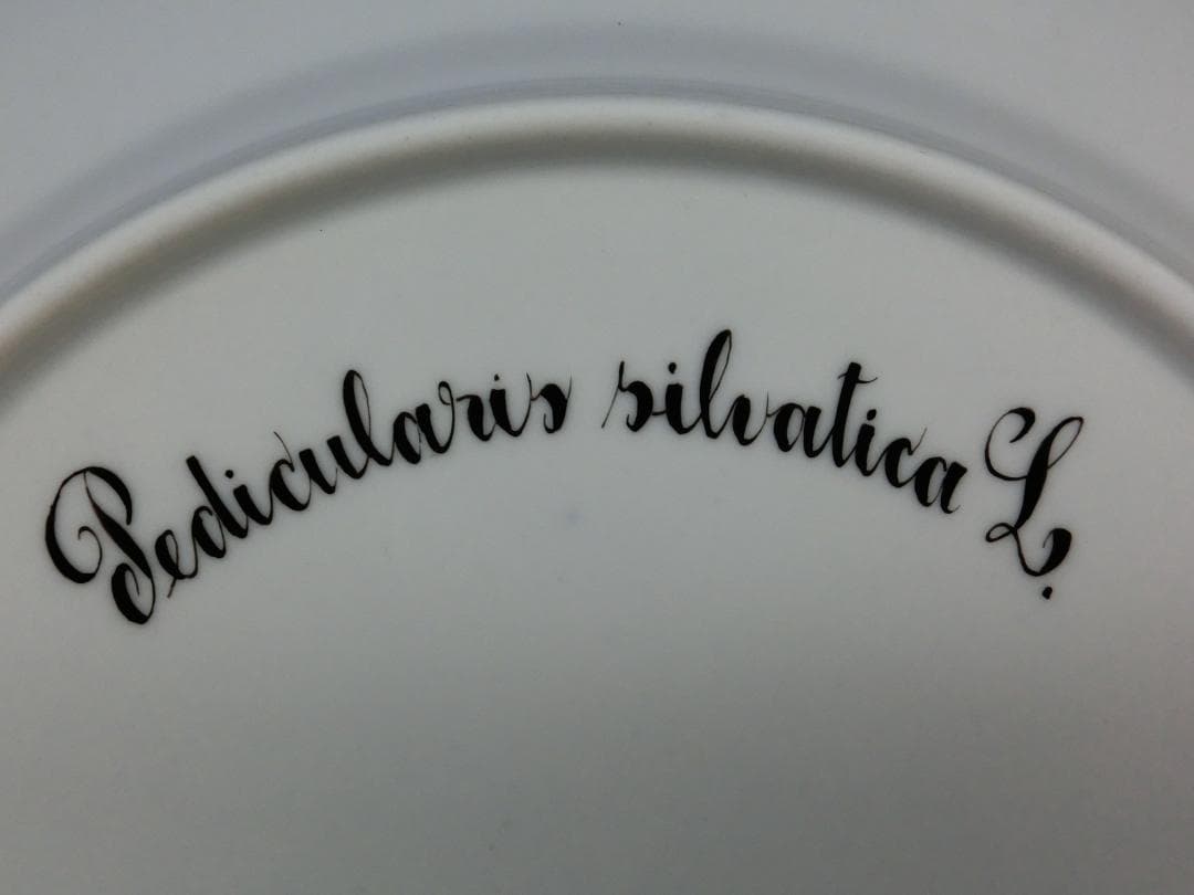 『ロイヤルコペンハーゲン』フローラダニカ22ｃｍプレート