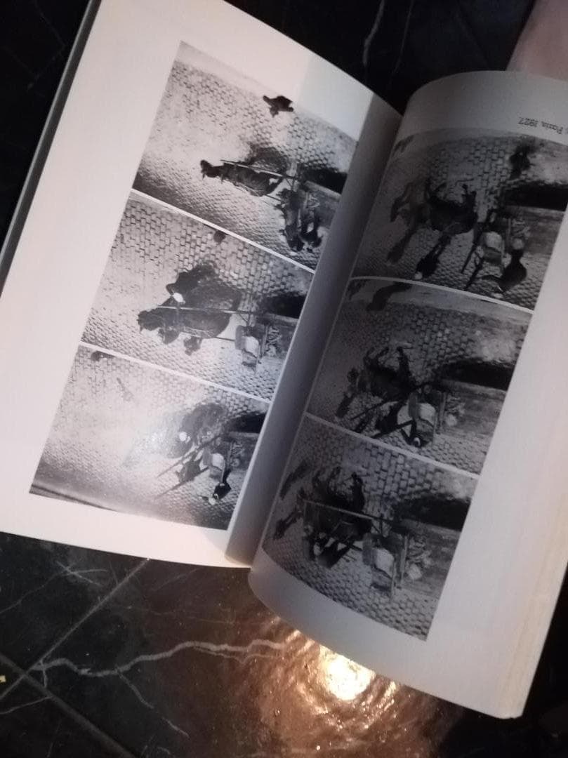 アンドレ・ケルテス Andre Kertesz 写真集 洋書 ハンガリーの写真家