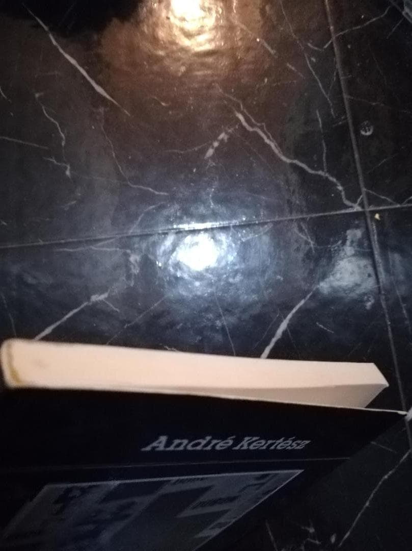 アンドレ・ケルテス Andre Kertesz 写真集 洋書 ハンガリーの写真家