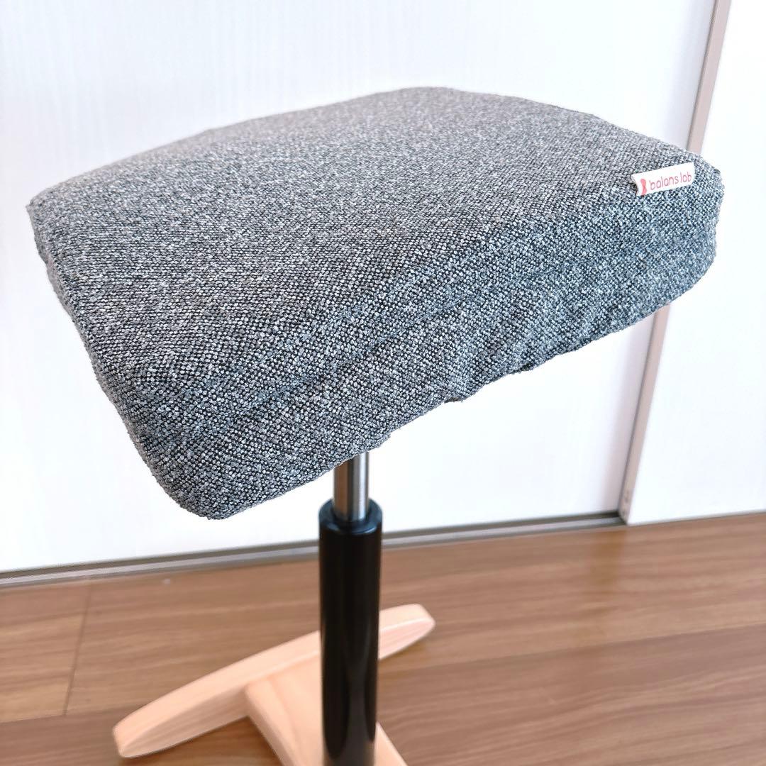 【極美品】balans Synergy バランスシナジー 正規品 姿勢矯正チェア