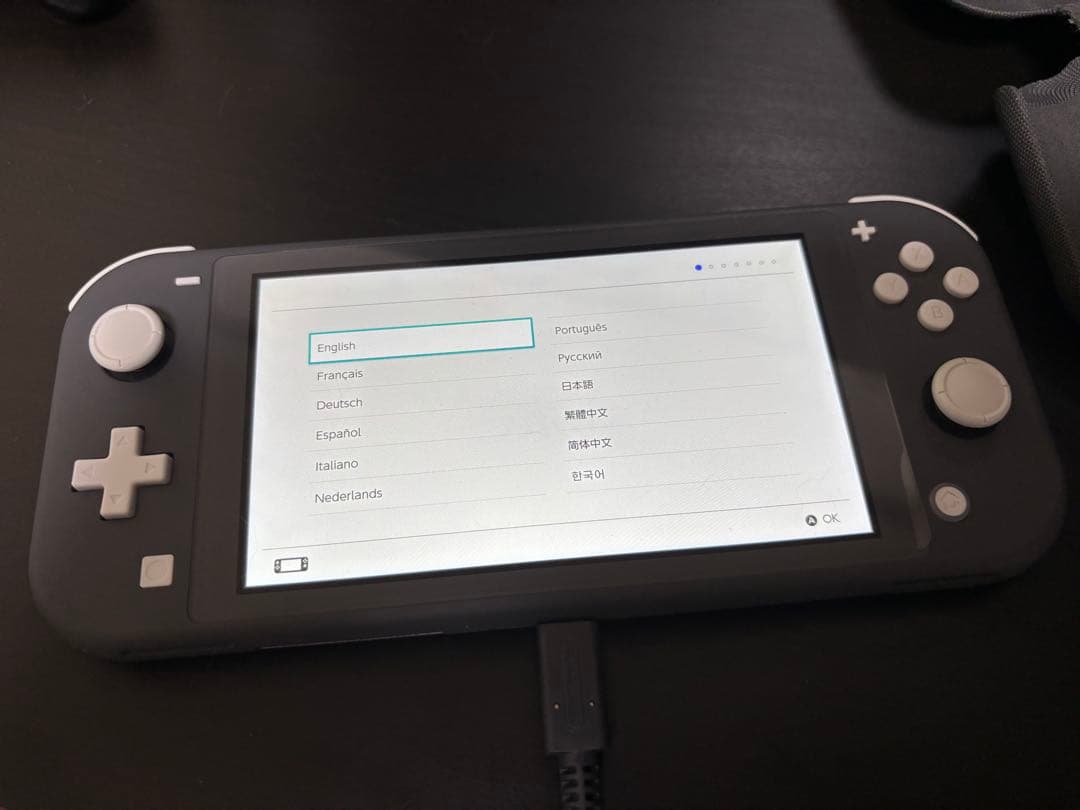 【極美品】Switch LITE カバー付き本体
