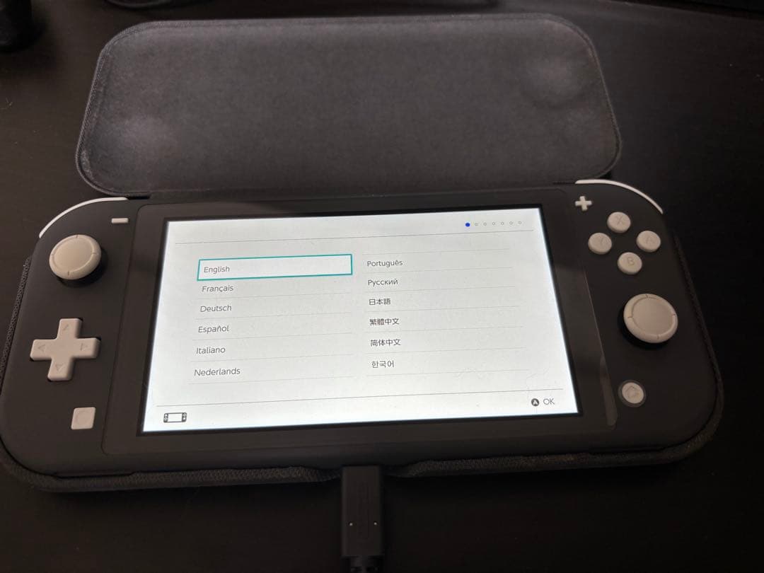 【極美品】Switch LITE カバー付き本体